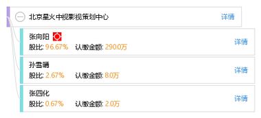 光影筑梦 北京星火中视影视策划中心的策划之道与价值引领